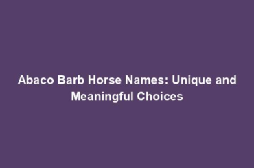 Abaco Barb Horse Names: Unique and Meaningful Choices