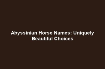 Abyssinian Horse Names: Uniquely Beautiful Choices