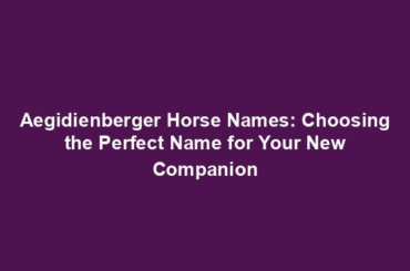 Aegidienberger Horse Names: Choosing the Perfect Name for Your New Companion