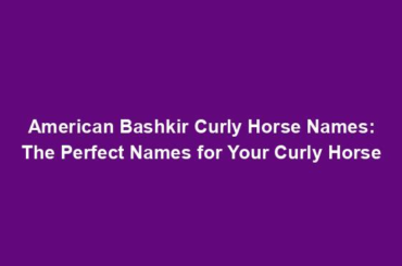 American Bashkir Curly Horse Names: The Perfect Names for Your Curly Horse