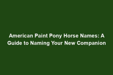 American Paint Pony Horse Names: A Guide to Naming Your New Companion