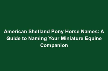 American Shetland Pony Horse Names: A Guide to Naming Your Miniature Equine Companion