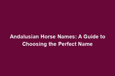 Andalusian Horse Names: A Guide to Choosing the Perfect Name