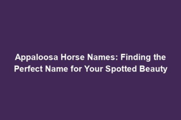 Appaloosa Horse Names: Finding the Perfect Name for Your Spotted Beauty