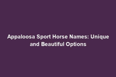 Appaloosa Sport Horse Names: Unique and Beautiful Options