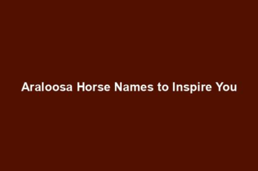 Araloosa Horse Names to Inspire You