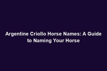 Argentine Criollo Horse Names: A Guide to Naming Your Horse