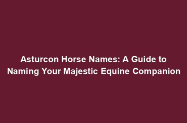 Asturcon Horse Names: A Guide to Naming Your Majestic Equine Companion