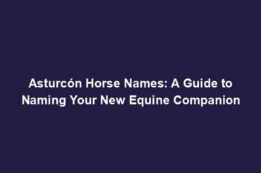 Asturcón Horse Names: A Guide to Naming Your New Equine Companion