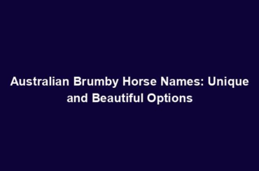 Australian Brumby Horse Names: Unique and Beautiful Options