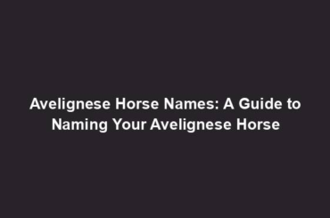 Avelignese Horse Names: A Guide to Naming Your Avelignese Horse