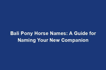 Bali Pony Horse Names: A Guide for Naming Your New Companion