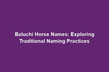 Baluchi Horse Names: Exploring Traditional Naming Practices