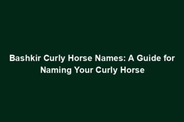 Bashkir Curly Horse Names: A Guide for Naming Your Curly Horse