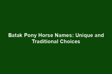 Batak Pony Horse Names: Unique and Traditional Choices