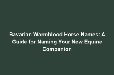 Bavarian Warmblood Horse Names: A Guide for Naming Your New Equine Companion