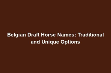 Belgian Draft Horse Names: Traditional and Unique Options