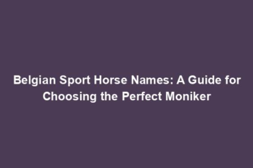 Belgian Sport Horse Names: A Guide for Choosing the Perfect Moniker