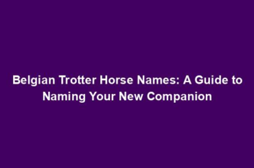 Belgian Trotter Horse Names: A Guide to Naming Your New Companion