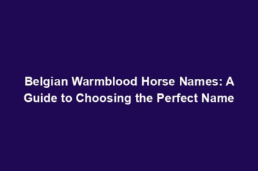 Belgian Warmblood Horse Names: A Guide to Choosing the Perfect Name