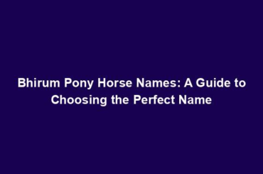 Bhirum Pony Horse Names: A Guide to Choosing the Perfect Name