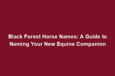 Black Forest Horse Names: A Guide to Naming Your New Equine Companion