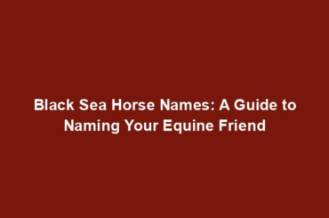 Black Sea Horse Names: A Guide to Naming Your Equine Friend