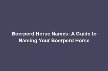 Boerperd Horse Names: A Guide to Naming Your Boerperd Horse