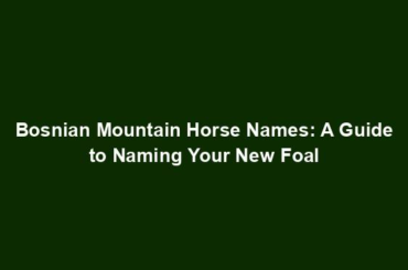 Bosnian Mountain Horse Names: A Guide to Naming Your New Foal