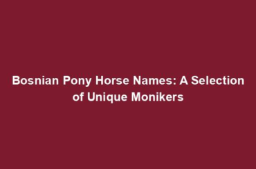 Bosnian Pony Horse Names: A Selection of Unique Monikers