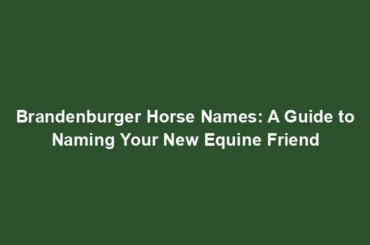 Brandenburger Horse Names: A Guide to Naming Your New Equine Friend