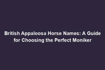 British Appaloosa Horse Names: A Guide for Choosing the Perfect Moniker