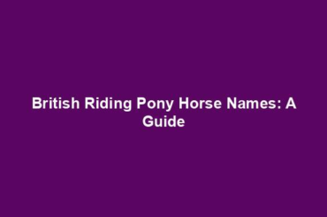 British Riding Pony Horse Names: A Guide