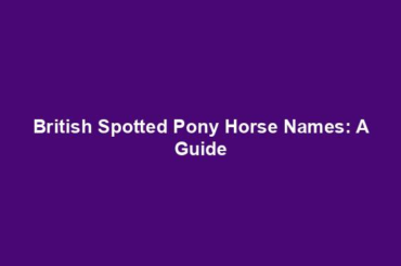 British Spotted Pony Horse Names: A Guide