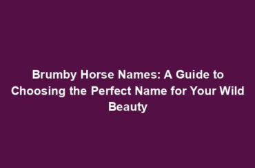 Brumby Horse Names: A Guide to Choosing the Perfect Name for Your Wild Beauty