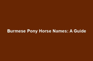 Burmese Pony Horse Names: A Guide