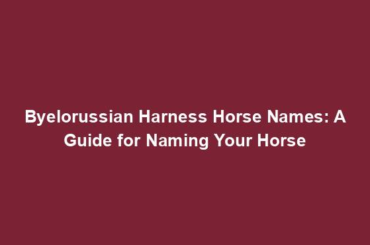 Byelorussian Harness Horse Names: A Guide for Naming Your Horse