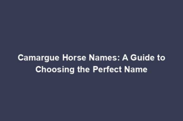 Camargue Horse Names: A Guide to Choosing the Perfect Name