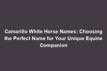 Camarillo White Horse Names: Choosing the Perfect Name for Your Unique Equine Companion