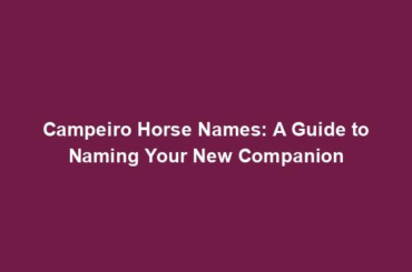 Campeiro Horse Names: A Guide to Naming Your New Companion