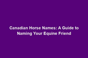 Canadian Horse Names: A Guide to Naming Your Equine Friend