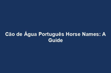 Cão de Água Português Horse Names: A Guide