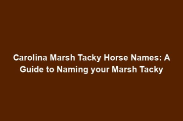 Carolina Marsh Tacky Horse Names: A Guide to Naming your Marsh Tacky