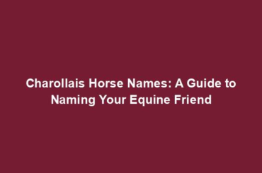 Charollais Horse Names: A Guide to Naming Your Equine Friend