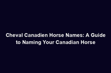 Cheval Canadien Horse Names: A Guide to Naming Your Canadian Horse