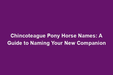 Chincoteague Pony Horse Names: A Guide to Naming Your New Companion