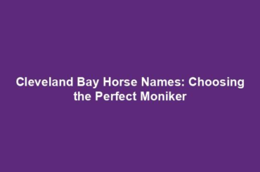 Cleveland Bay Horse Names: Choosing the Perfect Moniker