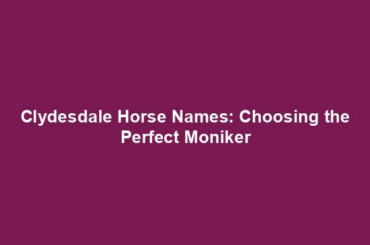 Clydesdale Horse Names: Choosing the Perfect Moniker