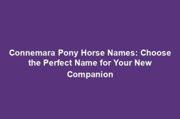 Connemara Pony Horse Names: Choose the Perfect Name for Your New Companion