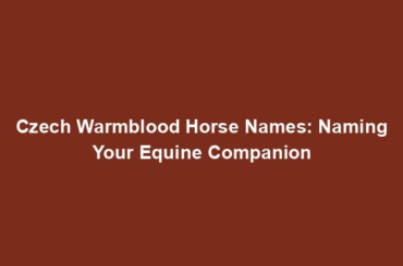 Czech Warmblood Horse Names: Naming Your Equine Companion